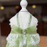 Vêtements d'été élégants et chics pour chats et chiens, robe pour animaux de compagnie, accessoires photo charmants, tenue pour sorties du week-end - Remise en gros