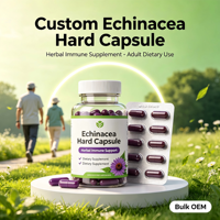 Capsules d'Échinacée Purpurea Premium – Extrait Herbal Naturel pour Adultes – Complément pour Améliorer l'Immunité – 5g – Vente en Gros