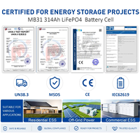 Celda de Batería LiFePO4 3.2V 314Ah MB31 para UPS y Proyectos Solares, Almacén Local en la UE, DDP Libre de Impuestos, Entrega en 3-7 Días, Grado A, Venta al Por Mayor