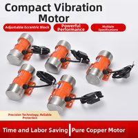 Dreiphasiger 380V/220V Mini Elektromotor für Vibrationssieb mit IP65 Überlastschutz 30/40W für Bodensiebung
