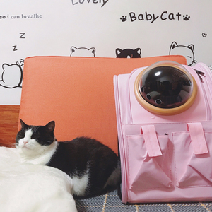 Mochila transportadora de mascotas de gran capacidad, cápsula de burbujas, <span class=keywords><strong>perro</strong></span>, gato, perros pequeños, viaje, mascota, portátil, espacio, Burbuja, mochila para gatos - Product Image 6