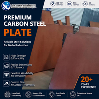 Placa de Acero al Carbono S355JR S355JR Laminada en Frío y Granallada de 10 mm y 1500 mm, ASTM A572, para Fabricación de Puentes