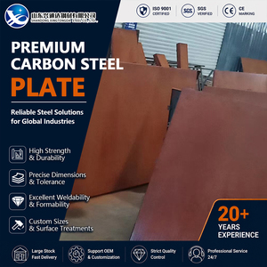 S355JR S355JR Shot Blasted Cold Rolled 10mm 1500mm ASTM A572 Carbon Steel Plate for Bridge Fabrication - Product Image 1