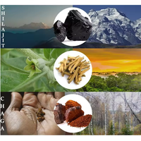 Ausreson Pure Himalayan Shilajit Gouttes Boisson Énergisante Acide Fulvique Liquide Puro Original Pure Organic Shilajit Drop pour Homme