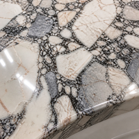 Lavabo en marbre blanc naturel Elephant |   Revêtement gris poli veiné avec protection anti-éclaboussures, adapté aux salles de bain, aux hôtels et aux villas.