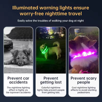 Collier pour chien lumineux de luxe à la mode avec LED pour la marche nocturne en toute sécurité, rechargeable par USB