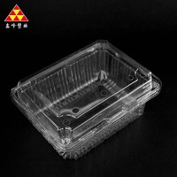 Vente en gros de fruits et légumes assiettes décoratives emballage de 10 pouces emballage alimentaire PET à emporter Hamburger Rectangle plateaux alimentaires