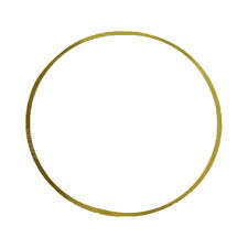 IVECO STRALIS için o-ring, silindir gömleği 99448192 - Product Image 2