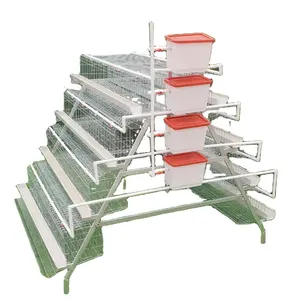 Galvanized A Type Layer Chicken Cages With Egg Laying System Chicken Rearing Equipment
