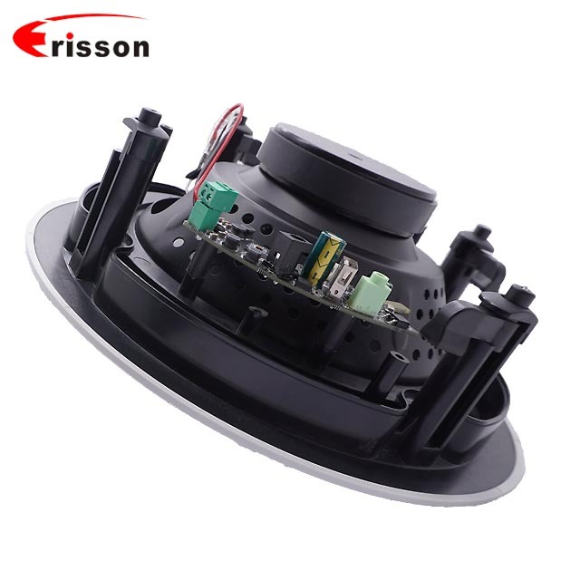 8-Inch 6 Ohm 60 Watts for Ceiling Loudspeaker Fire-Rated Stereo Speaker for Home Theatre Use