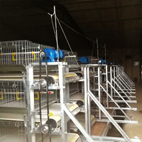 Cage à poulets de chair en acier galvanisé à chaud automatique en gros