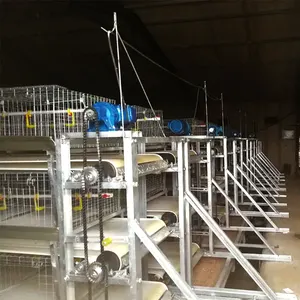 Cage automatique pour poulets de chair de poule en acier galvanisé à chaud vente en gros - Product Image 5