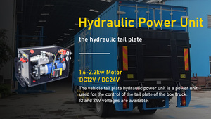 bibo LIFTHYDRAU Nueva Unidad Hidráulica de 12V para Plataforma de Camión, Remolque Basculante Hidráulico de 24V - Product Image 5