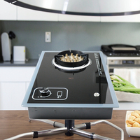 Outils de cuisine électriques d'extérieur avec flamme Estufa De Llama Énergie solaire thermique pour usage domestique