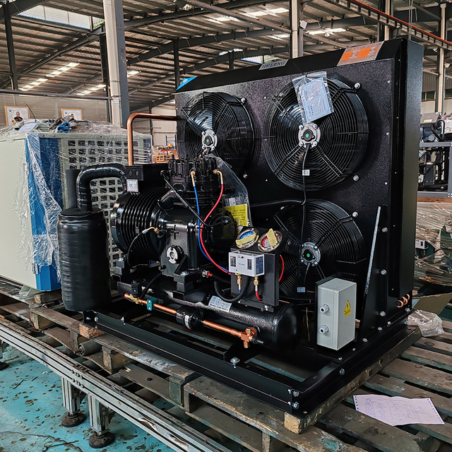 R404  Refrigeration Compressor 25hp 20hp 30hp 15hp 12hp 10hp Freezer Cold Room Industrial Condensing Unit Single Phase Gas