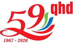 Varilla de electrodo de soldadura de hierro fundido de calidad excepcional para diversas necesidades de soldadura - Product Image 4