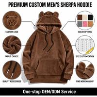 Op maat gemaakte geborduurde logo winter heren hoodies, gevoerd met koraal fleece, warme, pluizige flanellen stof, met zakken, sportkleding