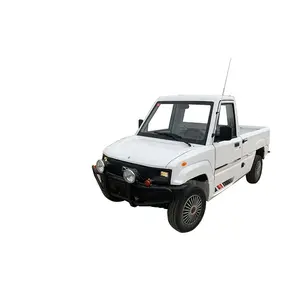 Approved Electric Transport Car Adult Vehicle Electric Van Cheap Electric Cars Ride On For Sale With Factory Price