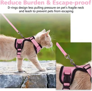 2025 Hot Sale Custom Logo Air Mesh Gepersonaliseerde Verstelbare Tweed Kat Harnas Vest Riem Lood Kragen Set Voor Honden Katten - Product Image 6