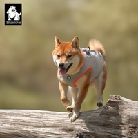 Gilet rafraîchissant pour chien Truelove, respirant, confortable, évaporatif, réfléchissant, durable, pour la natation et les journées chaudes