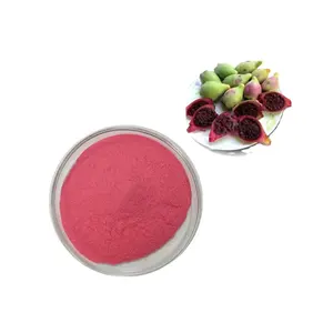 Higher Quantity Cactus Pear Fruit Powder Nopal and Dried Cactus Fruit Powder