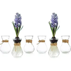 Hydro ponic Vase Home Moderne Glas blumenvase Hyacinth Vase bunte Fabrik preis
