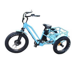 Triciclo eléctrico de carga, bicicleta de café, reclinada - Product Image 1