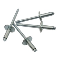 Fixation décorative de sortie d'usine Rivet aveugle en aluminium à grande bride Rivets pop à extrémité ouverte auto-enfichables Noyau en acier plastique