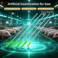 Cathéter spiralé d'insémination artificielle pour truies avec poignée, cathéters IA jetables pour porcs
