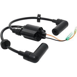 Bobina de encendido Yamaha 65W-85570-00 F25-05120000 para motor fueraborda F25 T25, pieza de repuesto - Product Image 4