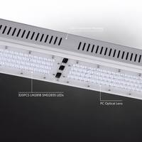 Lampes de culture LED rigides commerciales à spectre complet personnalisables de 250 W à haute efficacité LM301H pour serre de culture intérieure