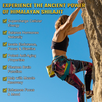 Gummies de Shilajit de l'Himalaya Vennature, Gummies de Shilajit Pur, Complément Alimentaire pour l'Immunité et l'Énergie, Gummies de Shilajit pour la Santé