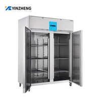 Réfrigérateurs et congélateurs verticaux industriels américains YINZHENG sans base, congélateurs de Chine à Dubaï