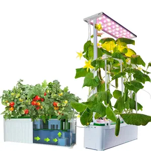 Sistemas de cultivo hidropónico, tienda de cultivo, invernadero, kit de jardín doméstico inteligente, luz de Cultivo LED, cosecha de jardín inteligente, hidropónico para interiores