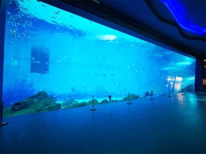 Grands Aquariums modernes en acrylique, réservoir de poissons/Aquariums en verre acrylique - Product Image 4