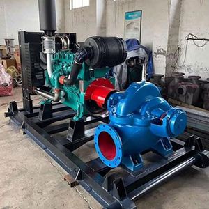 High Flow Double <b>Suction</b> Centrifugal <b>Pump</b> for Hydraulic Engineering Double <b>Suction</b> <b>Pump</b> Used in <b>Pumps</b> - Product Image 5