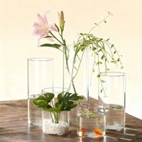 Vase cylindrique en verre borosilicate transparent multi-tailles pour culture hydroponique de plantes et de poissons