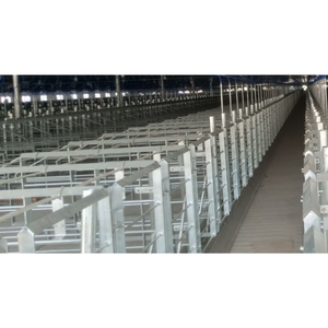 Farrowing <b>Crates</b> for Pigs Cheap Price 2-Door Design Animal Husbandry Pig Farming Equipment Made in Vietnam Manufacturer - Product Image 5