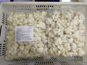 <span class=keywords><strong>Coliflor</strong></span> Orgánica <span class=keywords><strong>Congelada</strong></span> para la Nueva Temporada 2026 Producida por New Source Foods - Product Image 6