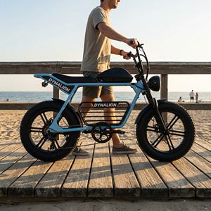 Bicicleta Eléctrica Retro Scrambler con Batería de 48V 16Ah, Bicicleta Eléctrica de Alta Velocidad con Llantas Anchas para Paseos por la Costa - Product Image 6