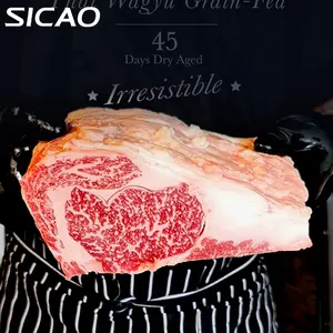 SICAO Meat Aging Machine Restaurant Dry Age Steak Meat Display Freezer Beef Dry Aging Steak Dry Ager For Home