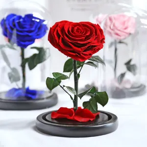 Toptan sonsuz gül kutusu-12*20cm güzellik Beast Belle LED kırmızı gerçek sonsuz dekoratif çiçek hediye kutusu sonsuza dek ebedi korunmuş güller cam kubbe
