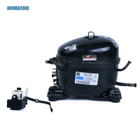 Réfrigération commerciale Zanussi Zel GDL175D 115V/60Hz R134a compresseur pour Mini réfrigérateur congélateur distributeur de bière compresseur