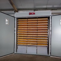 Incubateur d'œufs 3-en-1, couveuse automatique, éleveuse, taux d'éclosion élevé, double alimentation, contrôle numérique pour poulets, canards, oies, cailles