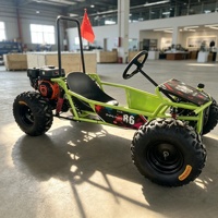 Grand kart tout-terrain antidérapant à pneus robustes et châssis en acier, idéal pour la location en sites touristiques, avec support de logo personnalisé OEM