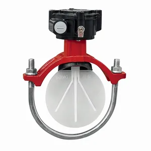CA-Fire Fire Sprinkler System Fire Fighting Ductile Cast Iron Valves Water Flow Indicator