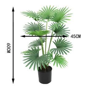 <span class=keywords><strong>Mini</strong></span> <span class=keywords><strong>palmier</strong></span> à ventilateur 60cm de haut avec <span class=keywords><strong>pot</strong></span> pour décoration de paysage - Product Image 2