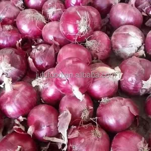 Cebolla roja fresca de China redonda grande de alta calidad con buen precio para la exportación Cebolla con precio barato para la venta vegetales frescos orgánicos