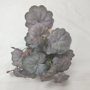 Guirnalda de Hiedra Artificial Impermeable con Hojas de Geranio para Decoración de Paredes en Bodas, San Valentín, Halloween, Pascua, Año Nuevo y Hogar - Product Image 2