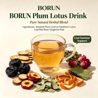 Sachets de thé aux feuilles de lotus et aux fleurs de prunier Mume 150g (5g*30) – Élimine la chaleur, rafraîchit l'été, nourrit le Yang, stimule la rate, favorise l'appétit et la digestion, dissout les mucosités et soulage la toux
